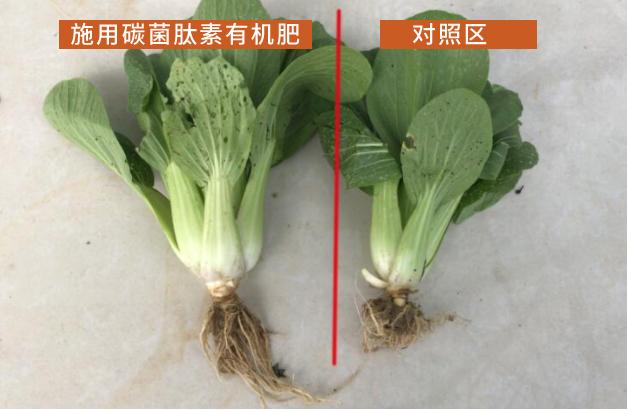 植物源有機(jī)肥日益受歡迎，它為啥就比雞糞好？